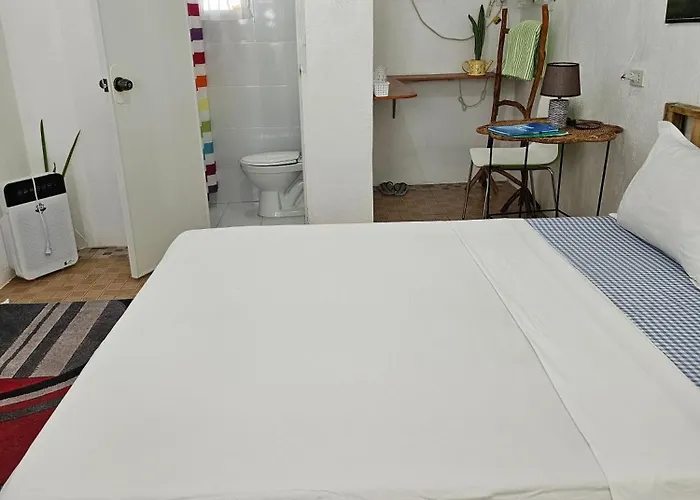 D & N * Daanbantayan